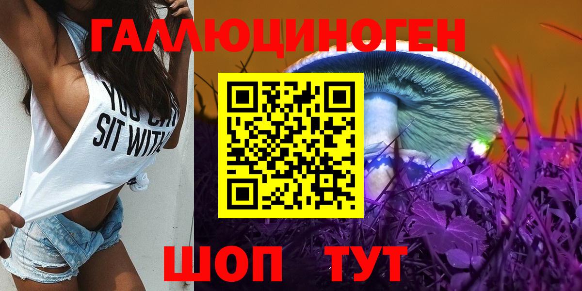 Галлюциногенные грибы Psilocybe Острогожск