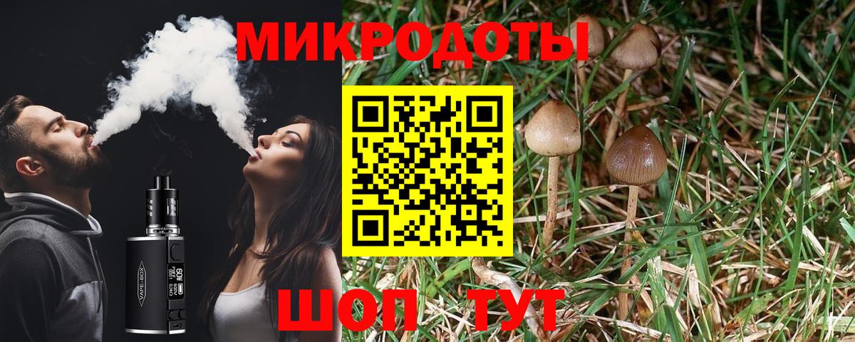 Галлюциногенные грибы мухоморы  Псилоцибиновые грибы ЛСД  Вход с VPN  закладки  Острогожск 